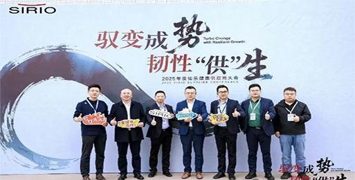 Vstrong Honored as SIRIO "2025 Excellent Supplier"