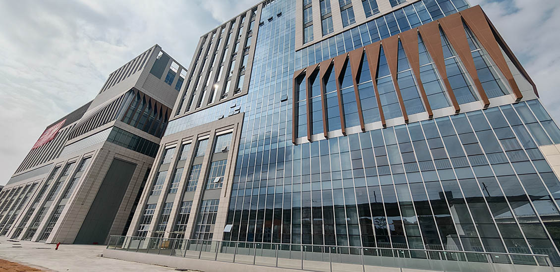 Dr. Kong Children's Shoes Industrial Construction Project